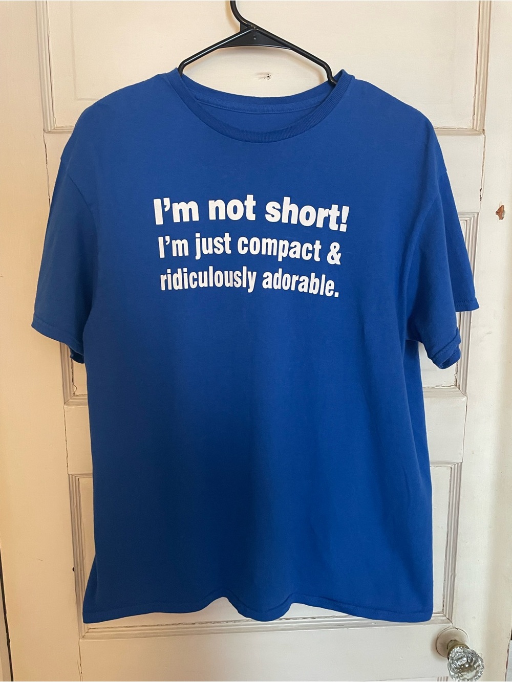 Blue Graphic Tee - "I'm not short!" Casual Women's Shirt